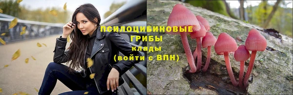а пвп мука Алексеевка
