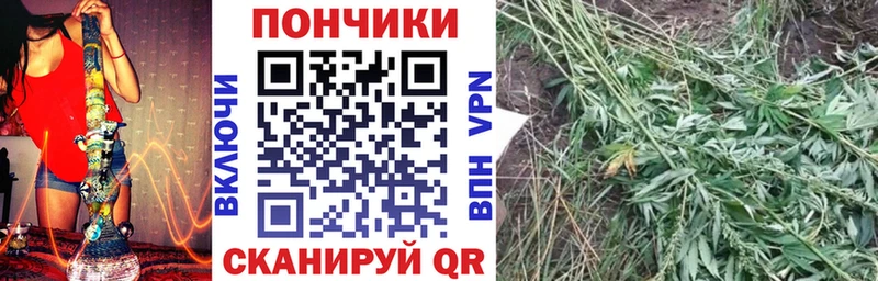 Каннабис планчик Грязи